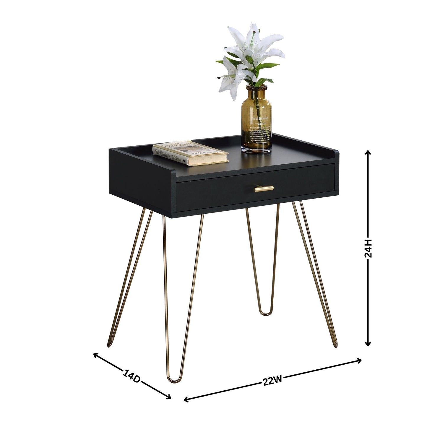 Roundhill Furniture Hailey Wood Storage End Table, Black and Gold