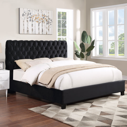 Roundhill Furniture Apoera Velvet Upholstered Button Tufted Bed, Black