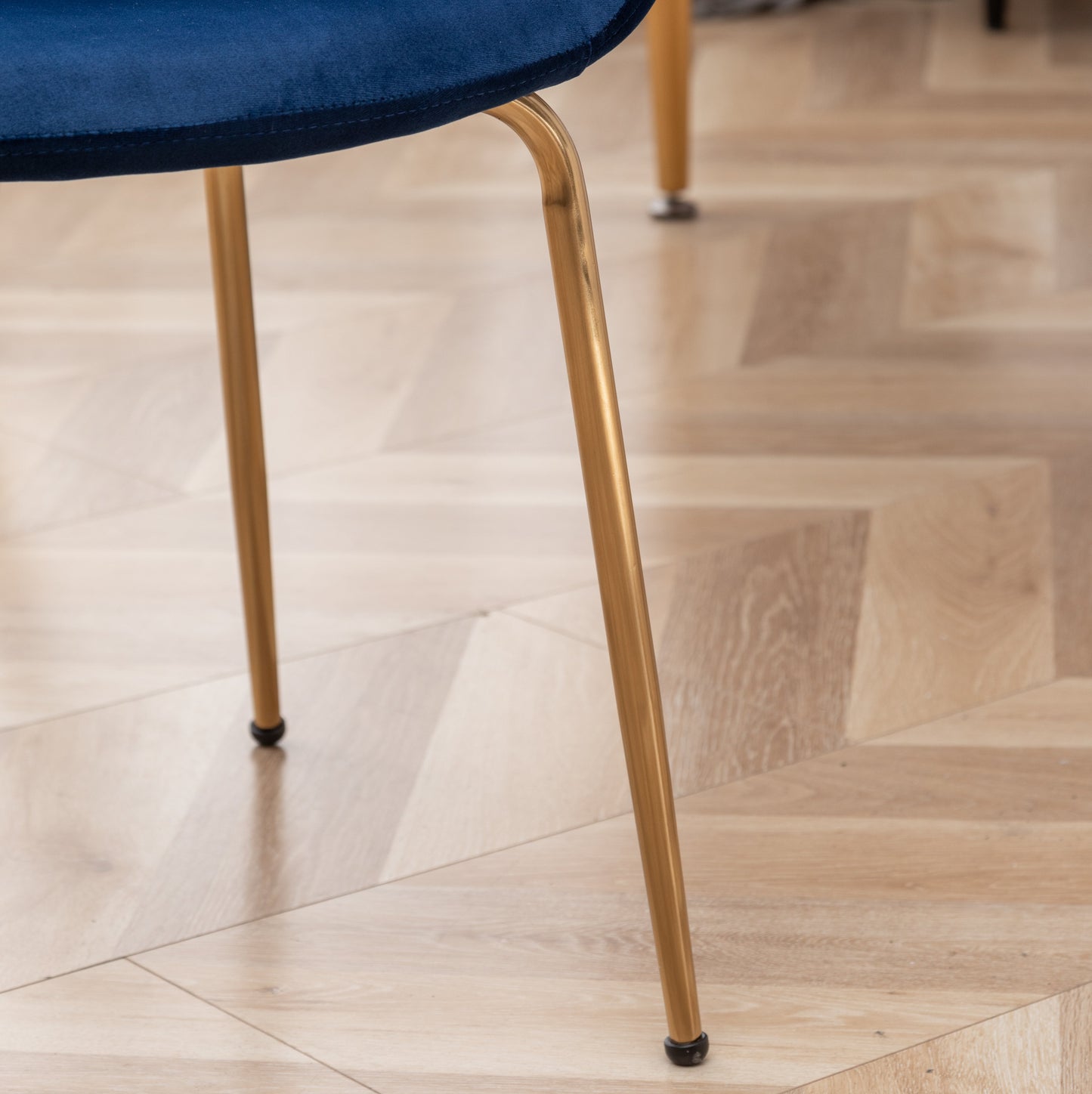 Roundhill Furniture Aufurr Modern Velvet Dining Chair, Set of 2, Blue