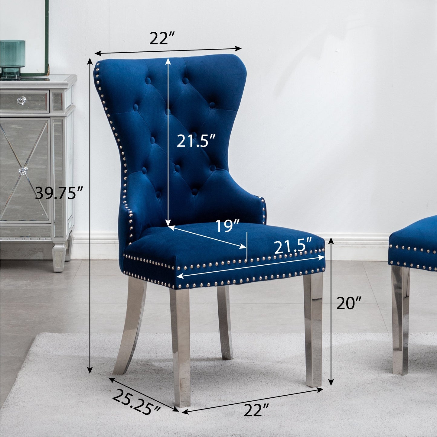 Roundhill Furniture Montura Contemporary Tufted Velvet Chair with Nailhead Trim, Blue, Set of 2